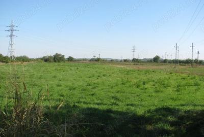 Teren de 13000 mp, în Central - 2