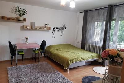Garsonieră decomandată, mobilată în Bucovina - 10