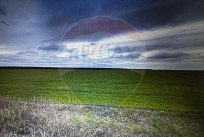 Teren de 16000 mp, în Sărbătoarea - 3