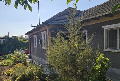 Casa la pretul de Teren /Palzu Mare - 6