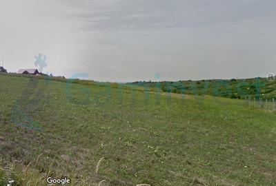 Teren Construcții intravilan de 886 mp, în Dealuri Oradea - 1