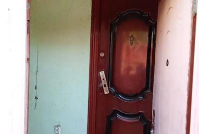 Vand casa la curte - 6