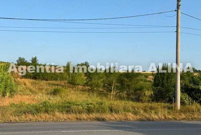 Teren de 9573 mp, în Sântuhalm - 3