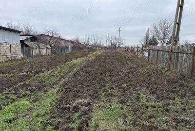 Teren de 1000 mp, în Pădurișu - 1