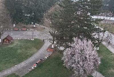 Garsonieră decomandată în Vața de Jos - 1