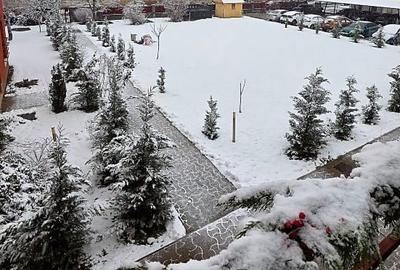 PROPRIETAR , Vând casă Dumbravita - 5