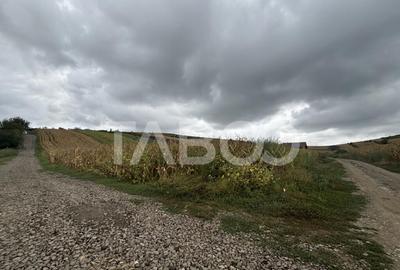 Teren de vanzare intravilan Sura Mare Sibiu 400 mp zona deos - 1