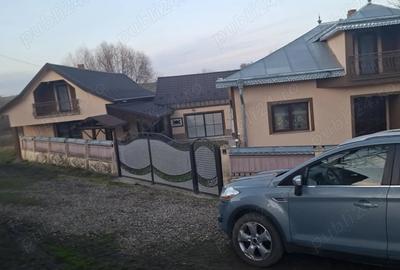Vand casa Botosanita Mica - 1