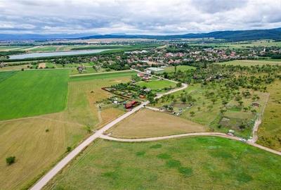 Teren Construcții extravilan de 3800 mp, în Valea Crișului