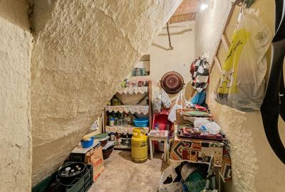 Casa cu anexe si teren de 759mp in Misca - 5