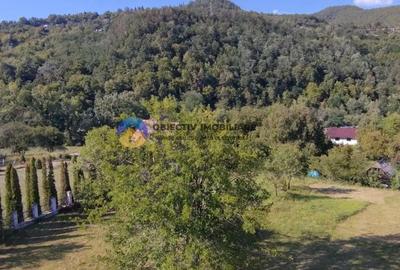 Casă cu 3 camere cu Teren 6329 Mp în Alexandru cel Bun - 19