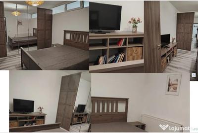 Apartament cu 2 camere decomandat în Brazda lui Novac - 6