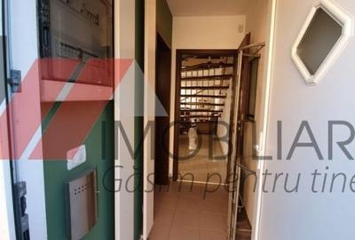 Sinandrei - Str.Sf.Andrei/Principala - Casa tip Duplex - 20