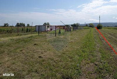 Teren de 3700 mp, în Sântimbru - 8