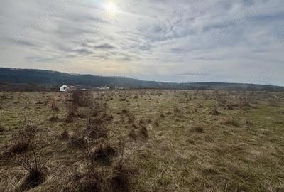 Teren de 802 mp, în Periferie