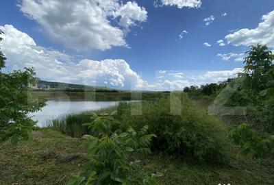 Teren de 10000 mp, în Șărmășag - 2