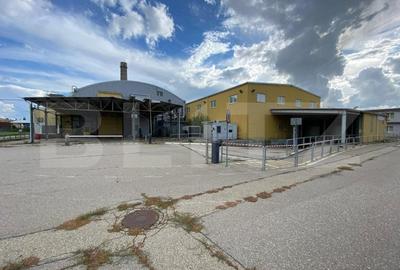 Fosta fabrica de dulciuri, 15533 mp, Freidorf - 11
