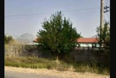 Spațiu industrial, 7300 mp în Uivar - 3