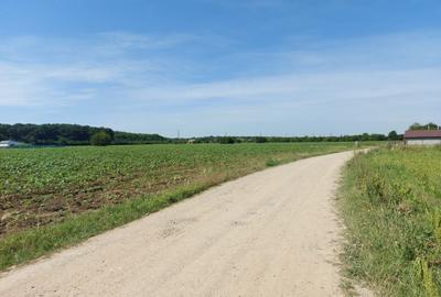 Teren Construcții intravilan de 8500 mp, în Snagov - 6