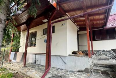 Casă cu 4 camere cu Teren 1527 Mp în Tăuții de Sus - 3