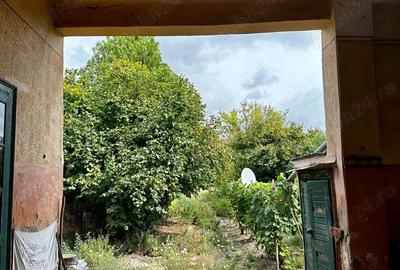 Casă cu 6 camere cu Teren 4300 Mp în Otelec - 5