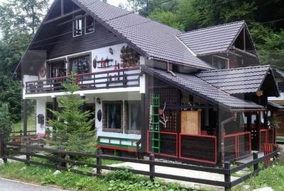 Casa de 6 camere, 320 mp, teren 700 mp, zona Bran - 9