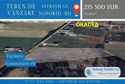 Teren de 13120 mp, în Nojorid - 1