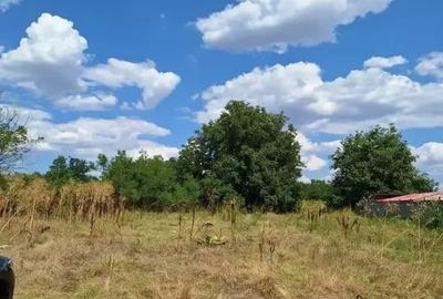 Teren intravilan de vânzare - 1000 mp în Frumușani - 6