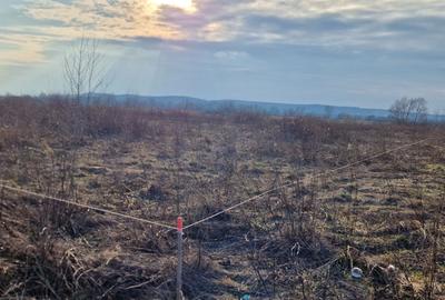 Spațiu comercial, în Central - 5