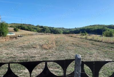Teren de 800 mp, în Măzili - 1