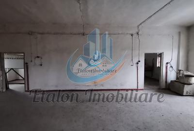 Constructie - Fosta Brutarie 400 m utili P+1 Grumazesti Neamt - 2