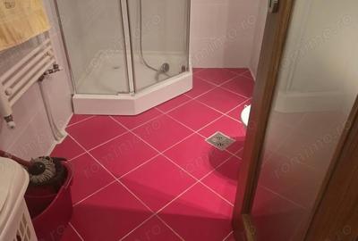 Apartament cu 2 camere decomandat în Ultracentral - 11