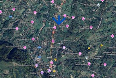 REL4001131 Teren de vanzare Bran - 4