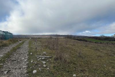 Teren de 1100 mp, în Exterior Vest - 3