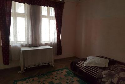 Casa de vanzare (Com. Calmatuiu, sat Nicolae Balcescu) - 7