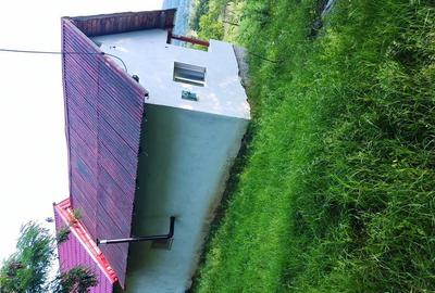 Casă cu 2 camere în Șuici - 9