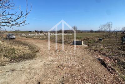Teren agricol intravilan de 16310 mp, în Rusciori - 8