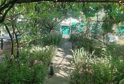 Jude?ul Buzau com Glodeanu Sili?tea sat COTORCA, casa batrineasca din caramida 3465m - 6