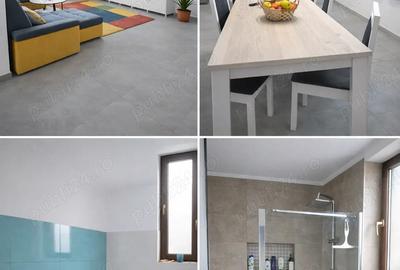 Vand 2 case una noua si una batraneasca - 1