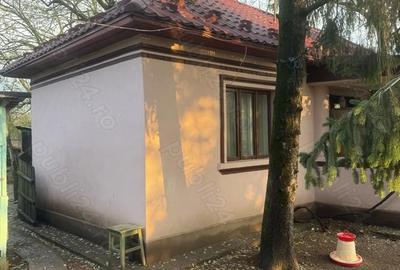 Casă cu Teren 1500 Mp în Stolnici - 3