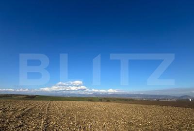 Teren extravilan agricol 5700 mp, Cristur - 3