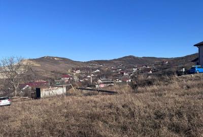 Spațiu comercial, în Vlădiceni