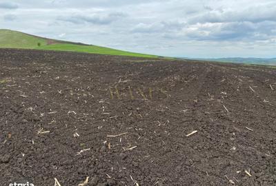 Spațiu comercial, în Țagu