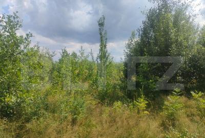 Teren intravilan, 5857 mp, Baltati, Horodnicu de Sus - 4