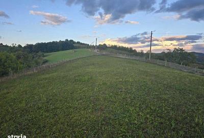 Teren de 5200 mp, în Roșia - 4