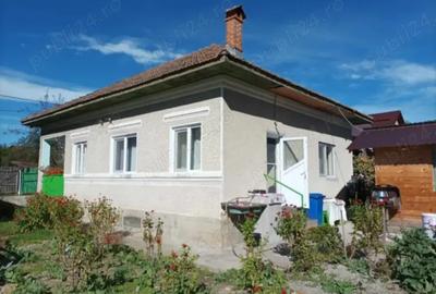 Casa Pausesti Madlasi - 2