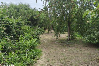 Casă cu 3 camere cu Teren 540 Mp în Bujac - 9