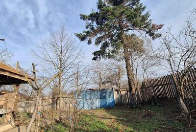 Casă cu 4 camere cu Teren 3113 Mp în Drăgănești-Vlașca - 7