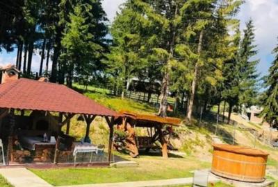 Casă cu 5 camere cu Teren 2300 Mp în Central - 8