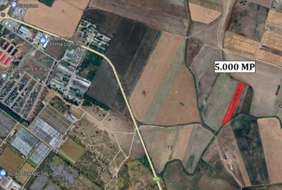 Teren de 5000 mp, în Livada - 1